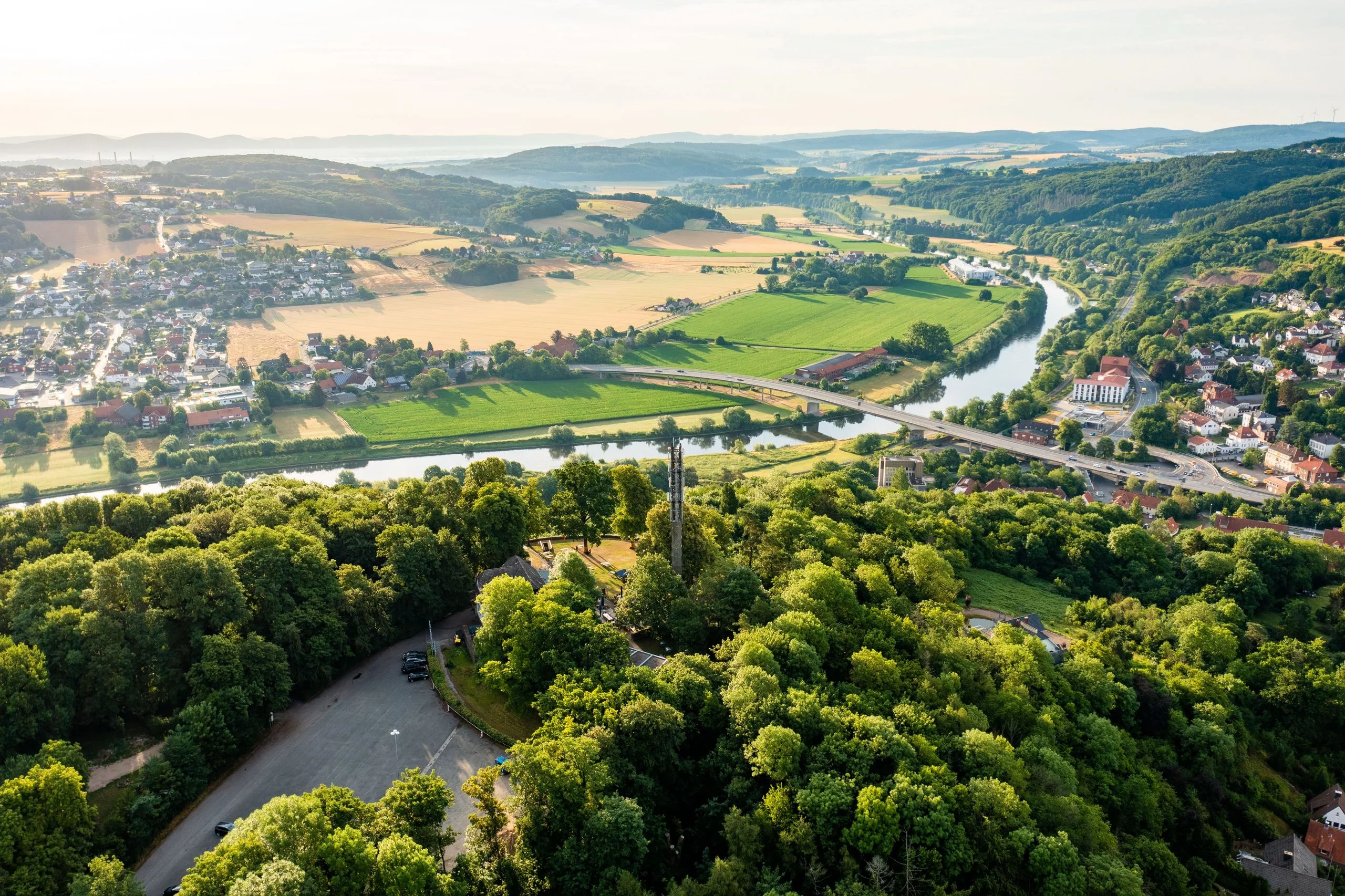 خلايا النحل